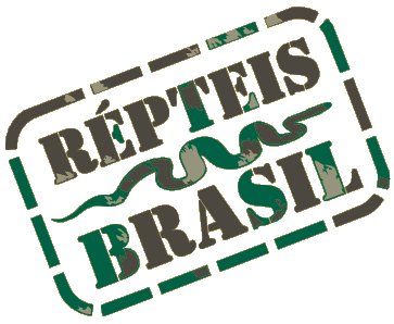 Répteis Brasil